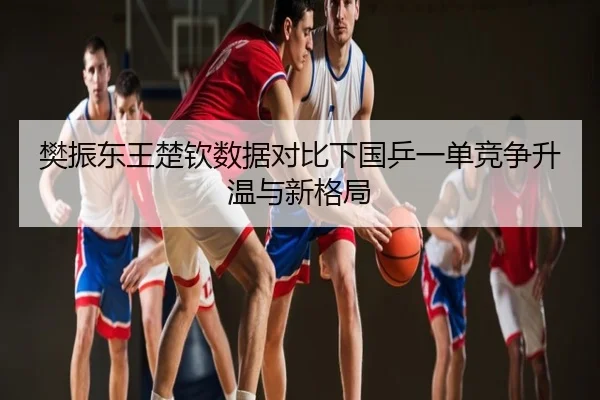 樊振东王楚钦数据对比下国乒一单竞争升温与新格局
