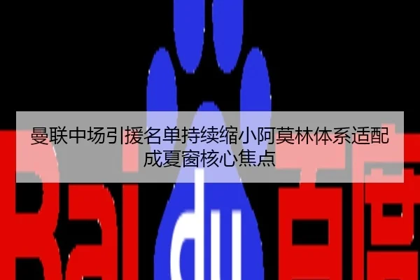 曼联中场引援名单持续缩小阿莫林体系适配成夏窗核心焦点